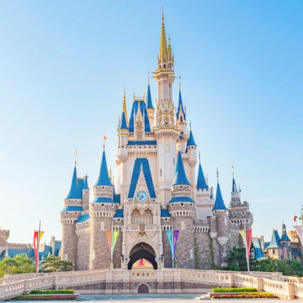 Collection image for: 東京迪士尼