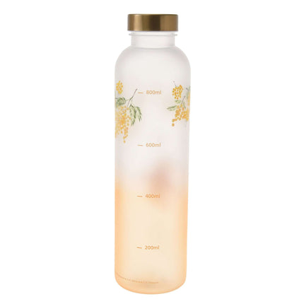 🇯🇵DisneyStore Pooh Drinkware 水樽