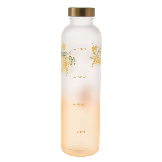 🇯🇵DisneyStore Pooh Drinkware 水樽