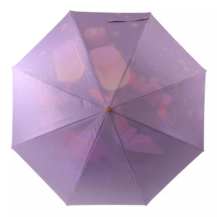 🇯🇵DisneyStore Rapunzel Rainy Day 長遮