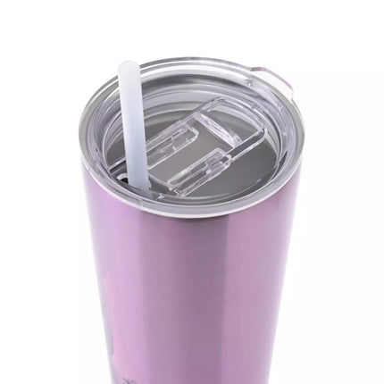 🇯🇵DisneyStore Cinderella Aurora Ariel Rapunzel Drinkware 飲管杯