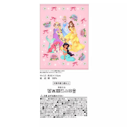 🇯🇵DisneyStore Disney Princess Swim 兒童浴巾