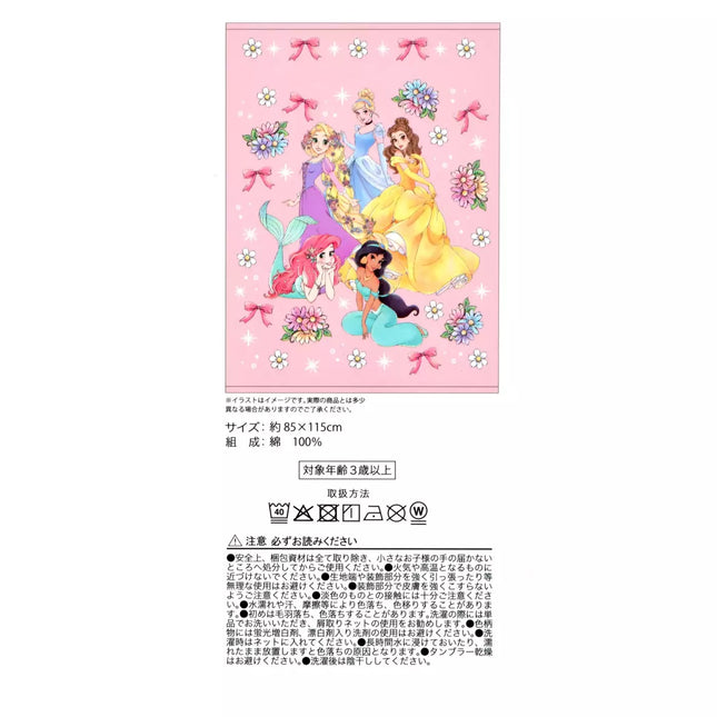 🇯🇵DisneyStore Disney Princess Swim 兒童浴巾