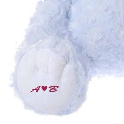 訂製🇯🇵DisneyStore Cinderella Unibearsity 公仔(M)