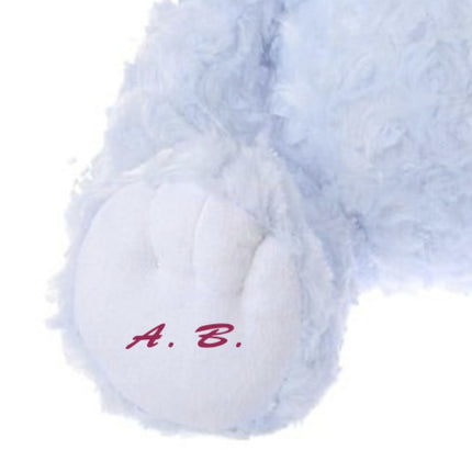 訂製🇯🇵DisneyStore Cinderella Unibearsity 公仔(M)