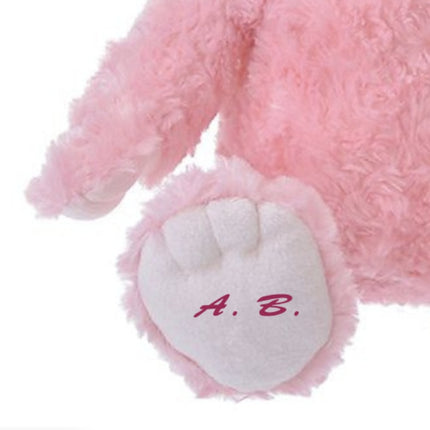 訂製🇯🇵DisneyStore Ariel Unibearsity 公仔(M)