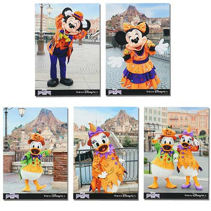 🏰東京迪士尼 Mickey and Friends Halloween 照片套裝