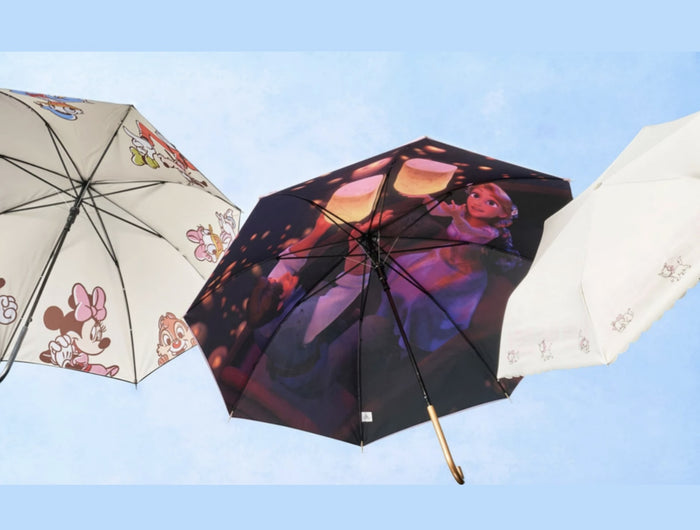 <h2><strong>Shiny day / Rainy Day</strong></h2>